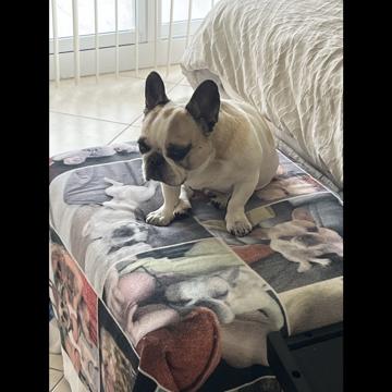 Brian Deutsch profile photo