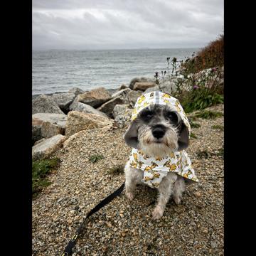 Roman Cianci profile photo