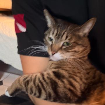 EUN SUN CHO profile photo