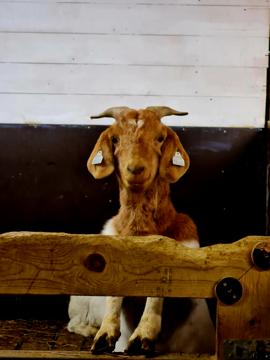 Sissel Myre Arntsen profile photo