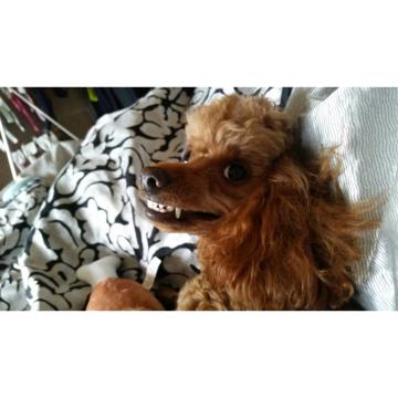 kim seolwon profile photo