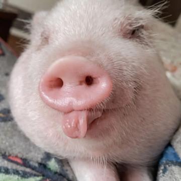 Sylvia Christensen profile photo