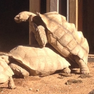 Kevin R Jones profile photo