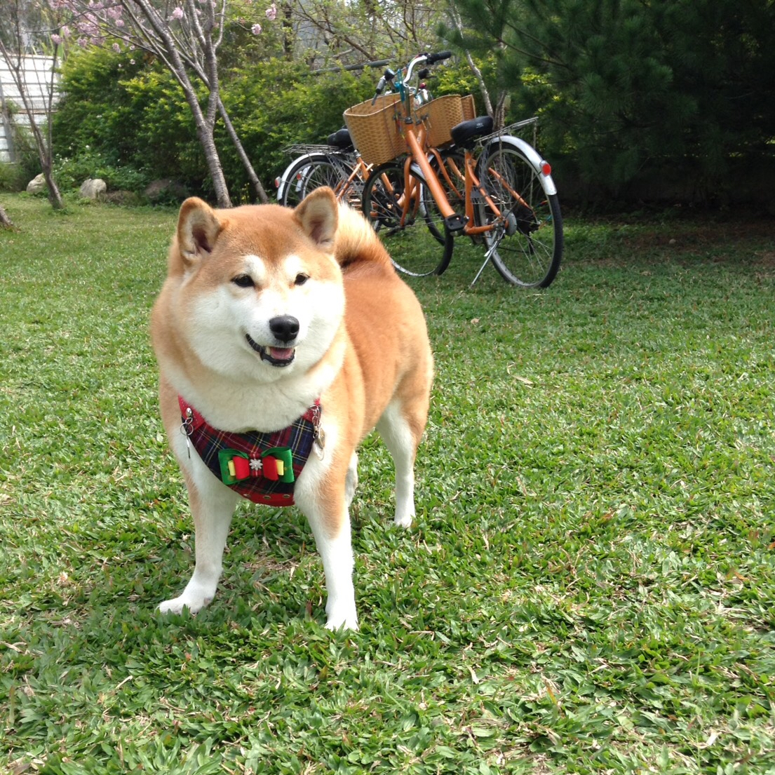 Zhi-Xiang Huang profile photo