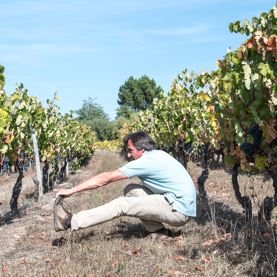 Jorge Manuel Nobre Moreira profile photo