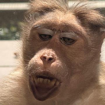 Dirk Wagner profile photo