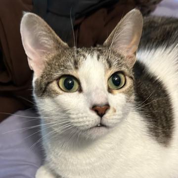 Amanda Bazemore profile photo