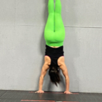 Zarina Khan profile photo