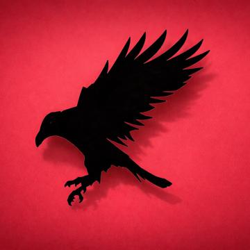 Marco Muñoz Fernández profile photo