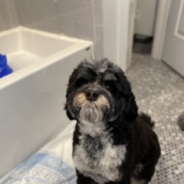 Ann Knight profile photo