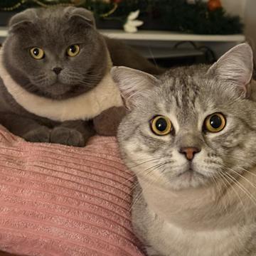 Jerlyn Basi profile photo