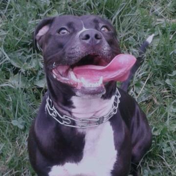 Maialen González profile photo