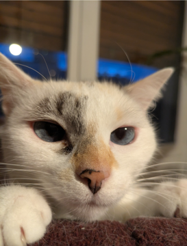 Fred Fontana profile photo