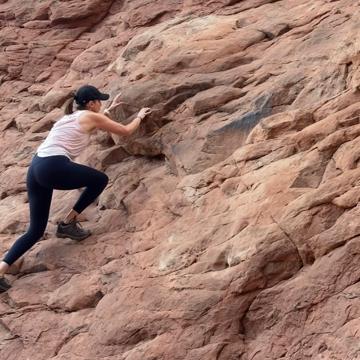 Christina Nash Wood profile photo