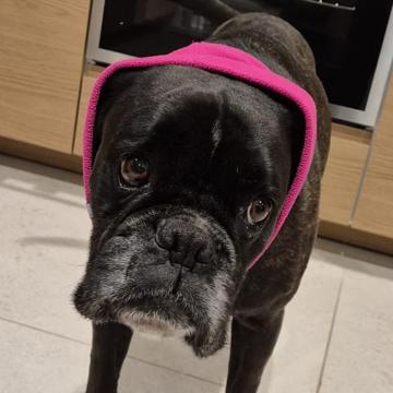 Adelaide AMATO profile photo