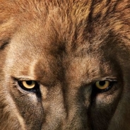 Agustin Leon profile photo