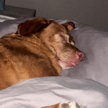 Samantha Cohen profile photo