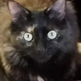 Bev Parker profile photo