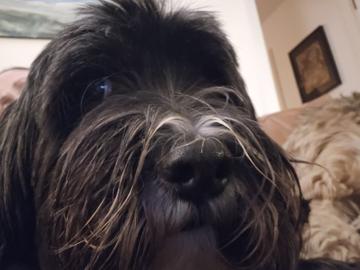 Emma Gravett profile photo