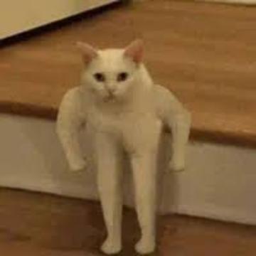 Nataly Harumi profile photo