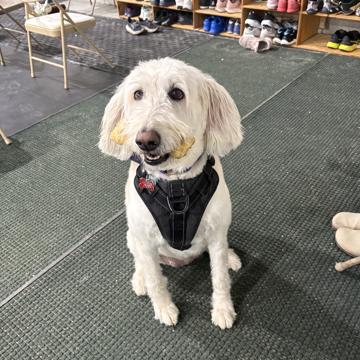 Breanne Ehrlich profile photo