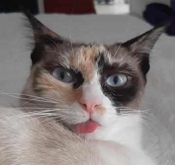 Axelle Thomas profile photo