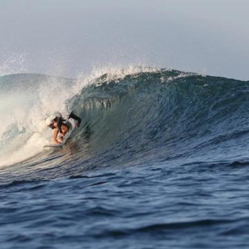 Sergio Almela profile photo