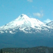 Denise Farmer profile photo