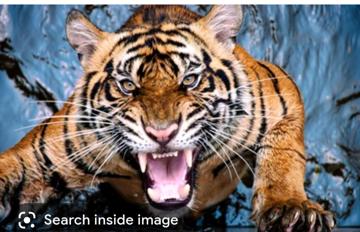 Heather Brigden-McLean profile photo