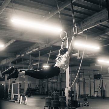 Toni Indelicato profile photo