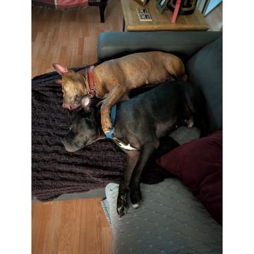 Al Gomez profile photo