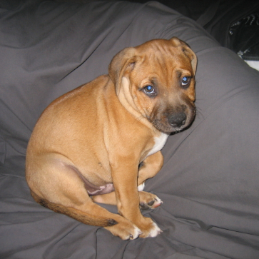 Susie Fane profile photo