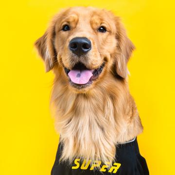 Gan Yeong Wei profile photo