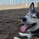 Gerardo Paredes profile photo