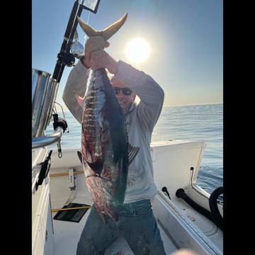 Robert Gingerella profile photo