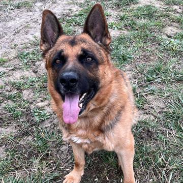 Camila Redin profile photo