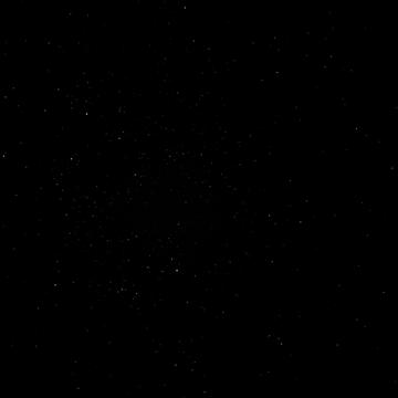 Blaise Marini profile photo