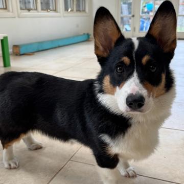 Thomas Hastings profile photo