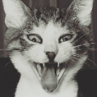 Cedric Rougeaux profile photo