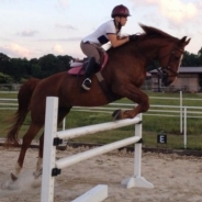 Heather Steinberger profile photo