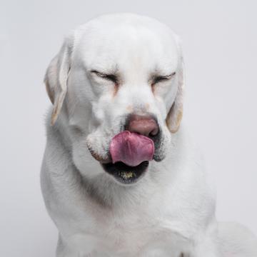 Yiwei Cao profile photo