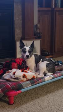 Sherrie Collins profile photo