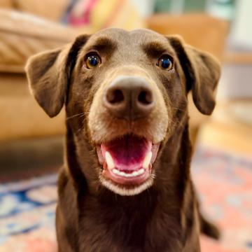 elliot schrock profile photo