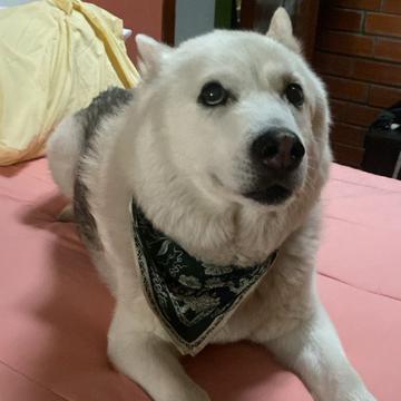 Karla Tulcan profile photo