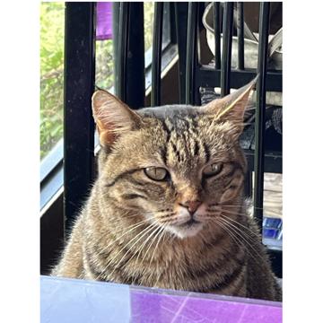 Chen Chun-Lin profile photo