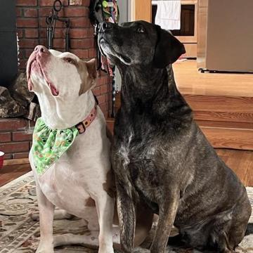 Kimi McCue profile photo