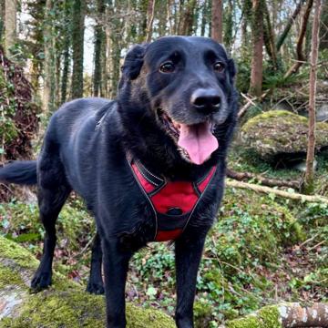 Holly Murphy profile photo