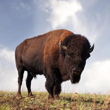 Caleb Sellers profile photo