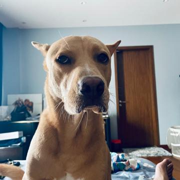 Kevin Lim profile photo