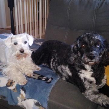 Gabriel Leal profile photo